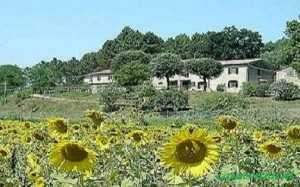 Casa Minica 8 Italy toscany
